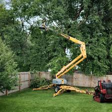 Best Tree Health Inspection  in Latham, NY